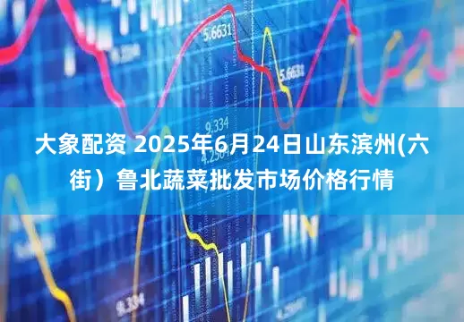 大象配资 2025年6月24日山东滨州(六街）鲁北蔬菜批发市场价格行情