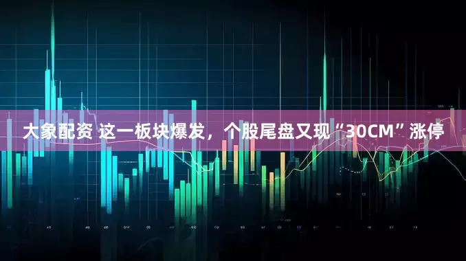 大象配资 这一板块爆发，个股尾盘又现“30CM”涨停