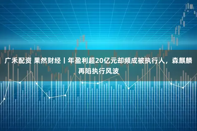 广禾配资 果然财经丨年盈利超20亿元却频成被执行人，森麒麟再陷执行风波