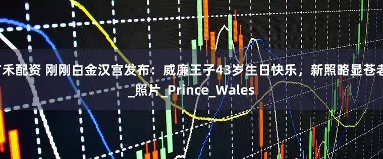 广禾配资 刚刚白金汉宫发布：威廉王子43岁生日快乐，新照略显苍老！_照片_Prince_Wales