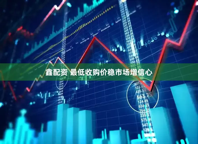 鑫配资 最低收购价稳市场增信心