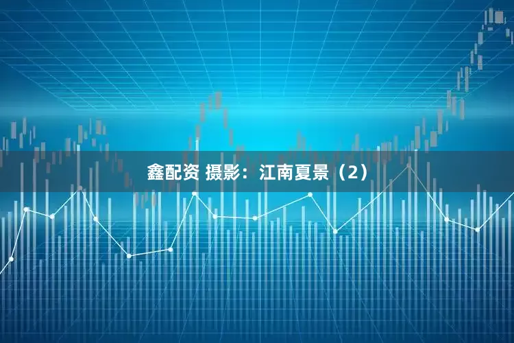 鑫配资 摄影：江南夏景（2）