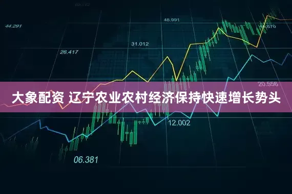 大象配资 辽宁农业农村经济保持快速增长势头