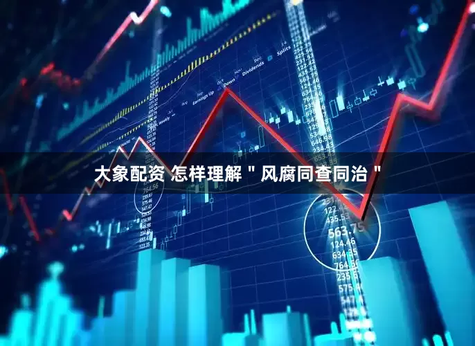 大象配资 怎样理解＂风腐同查同治＂