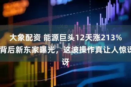 大象配资 能源巨头12天涨213%,背后新东家曝光，这波操作真让人惊讶