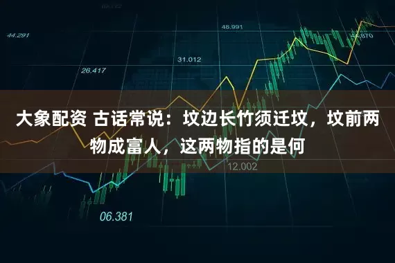 大象配资 古话常说：坟边长竹须迁坟，坟前两物成富人，这两物指的是何